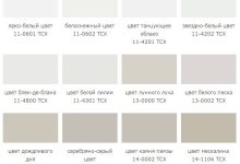 Photo of Чистые линии и нейтральные цвета