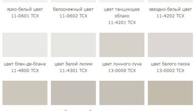 Photo of Чистые линии и нейтральные цвета